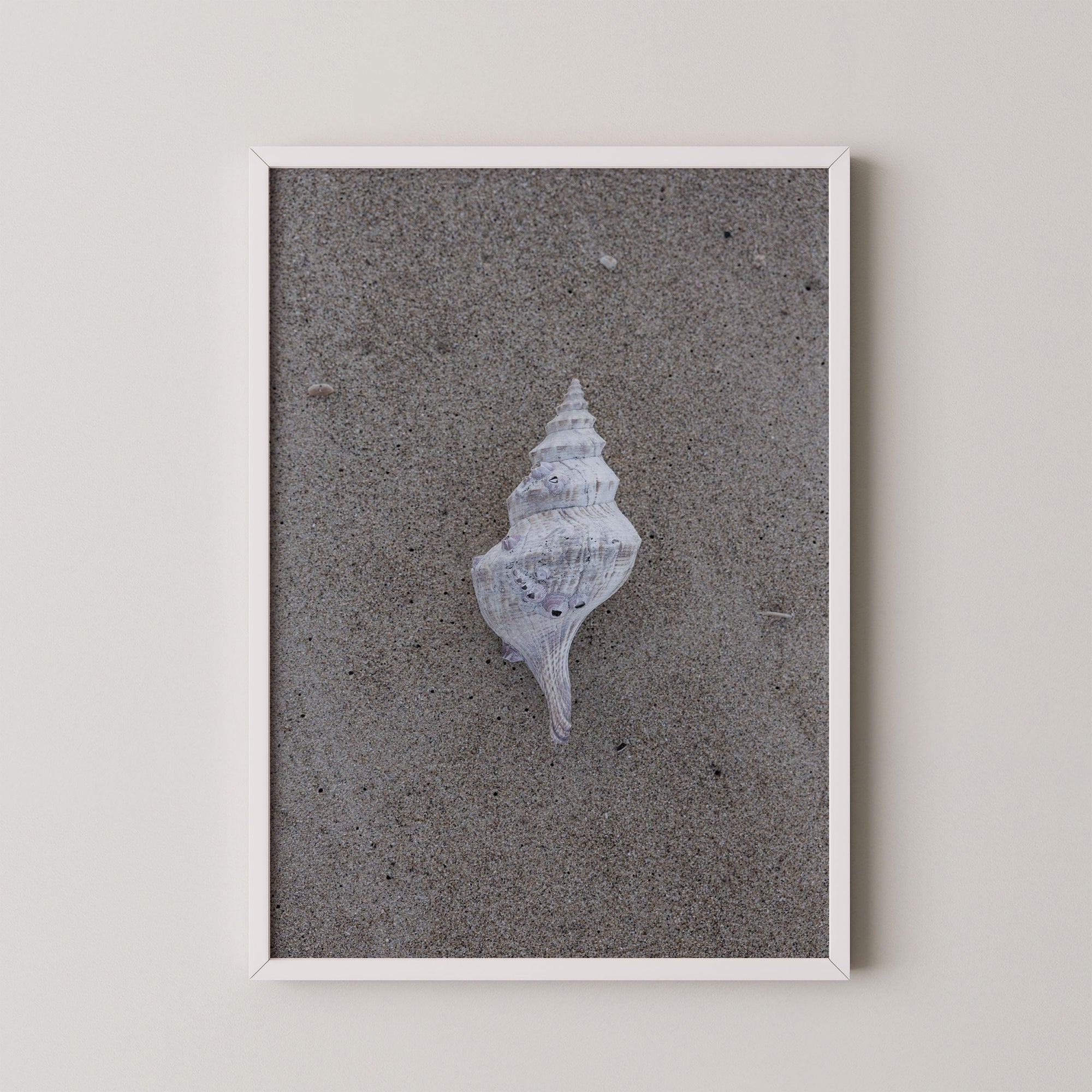 Ocean's Gift