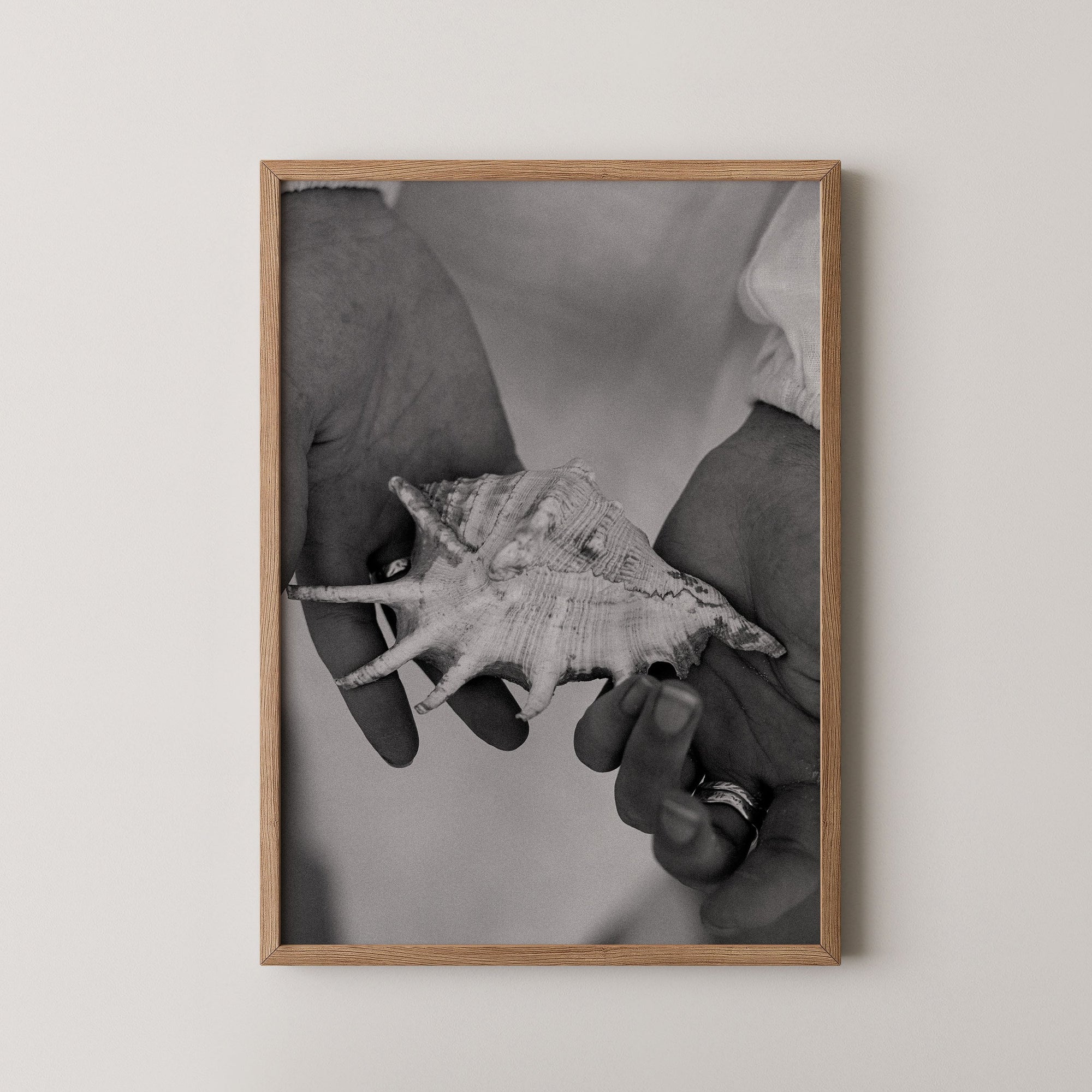 Shell Stories