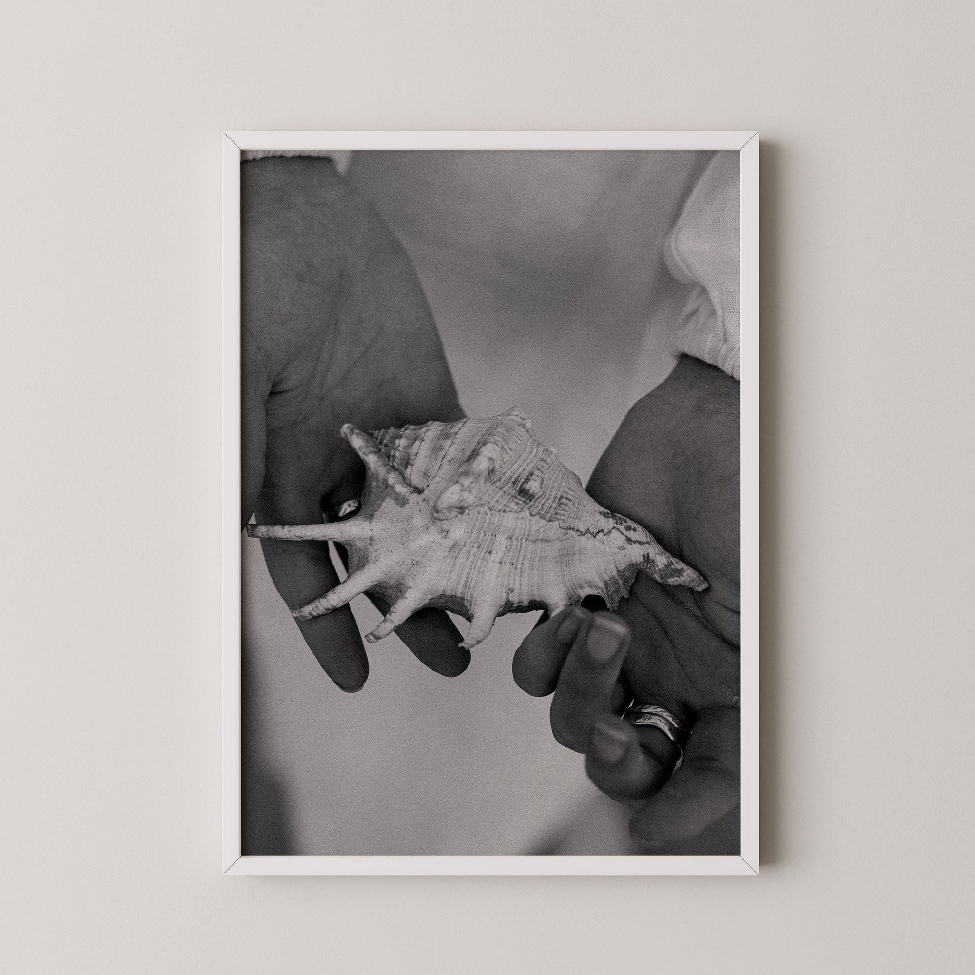 Shell Stories
