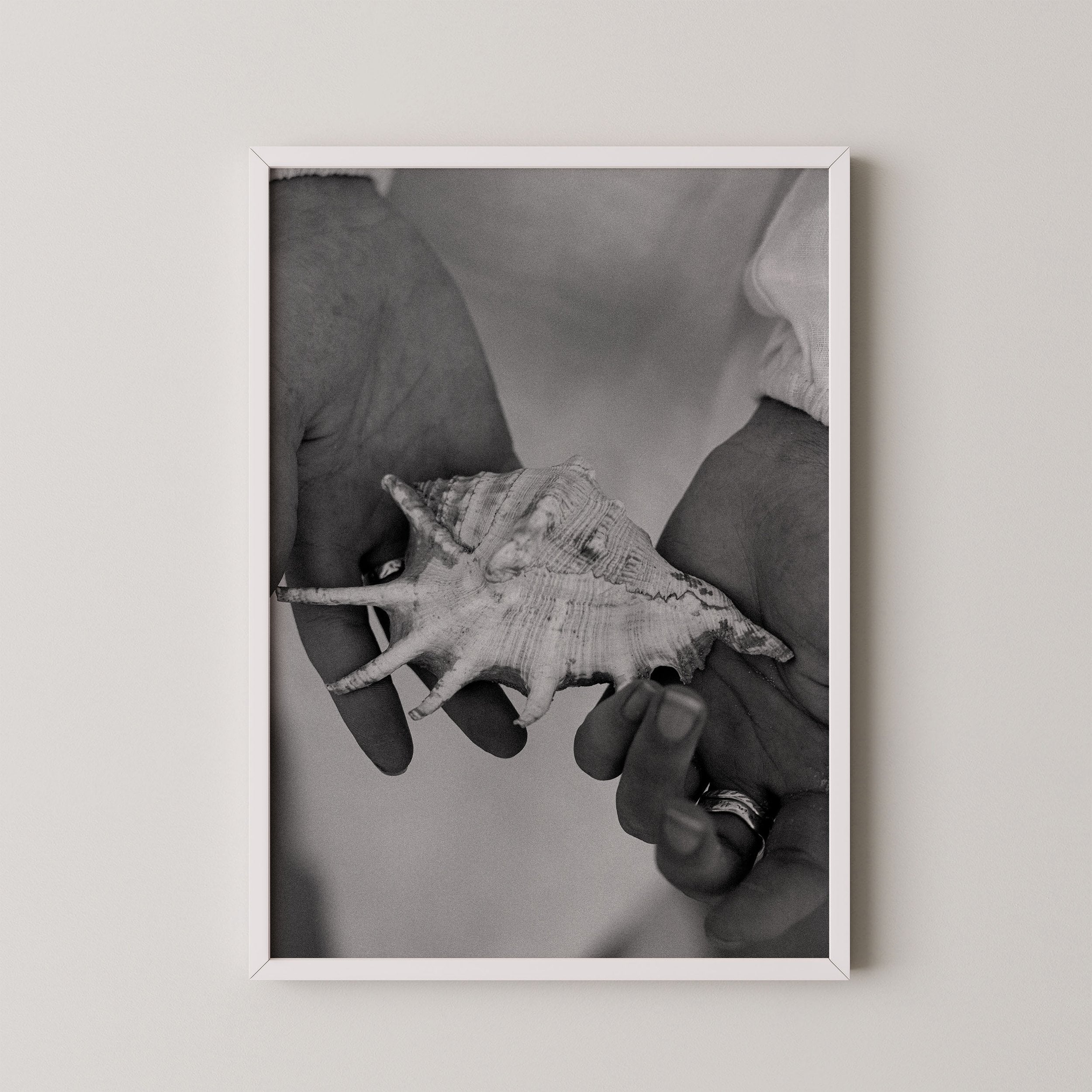 Shell Stories