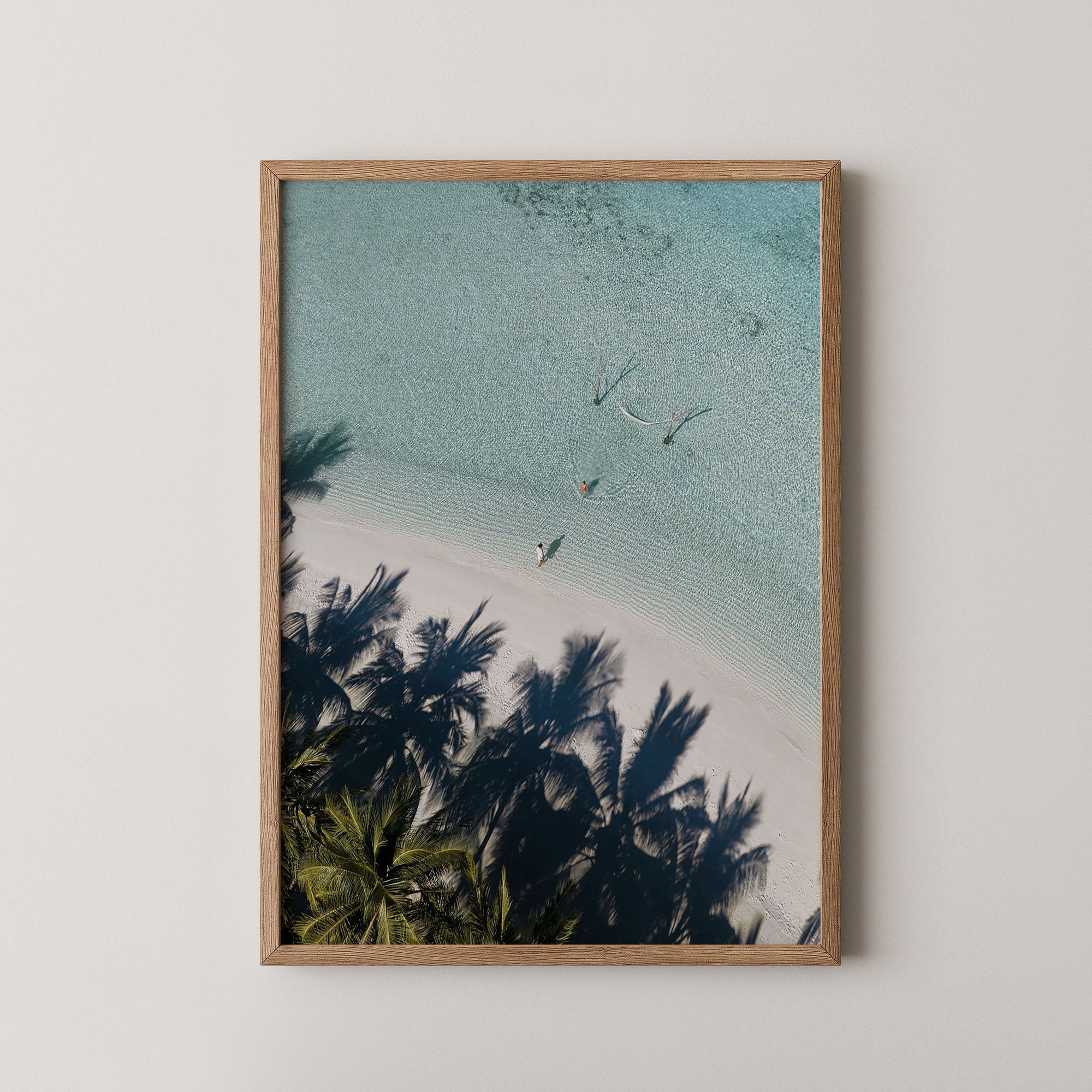 Palm Shadows