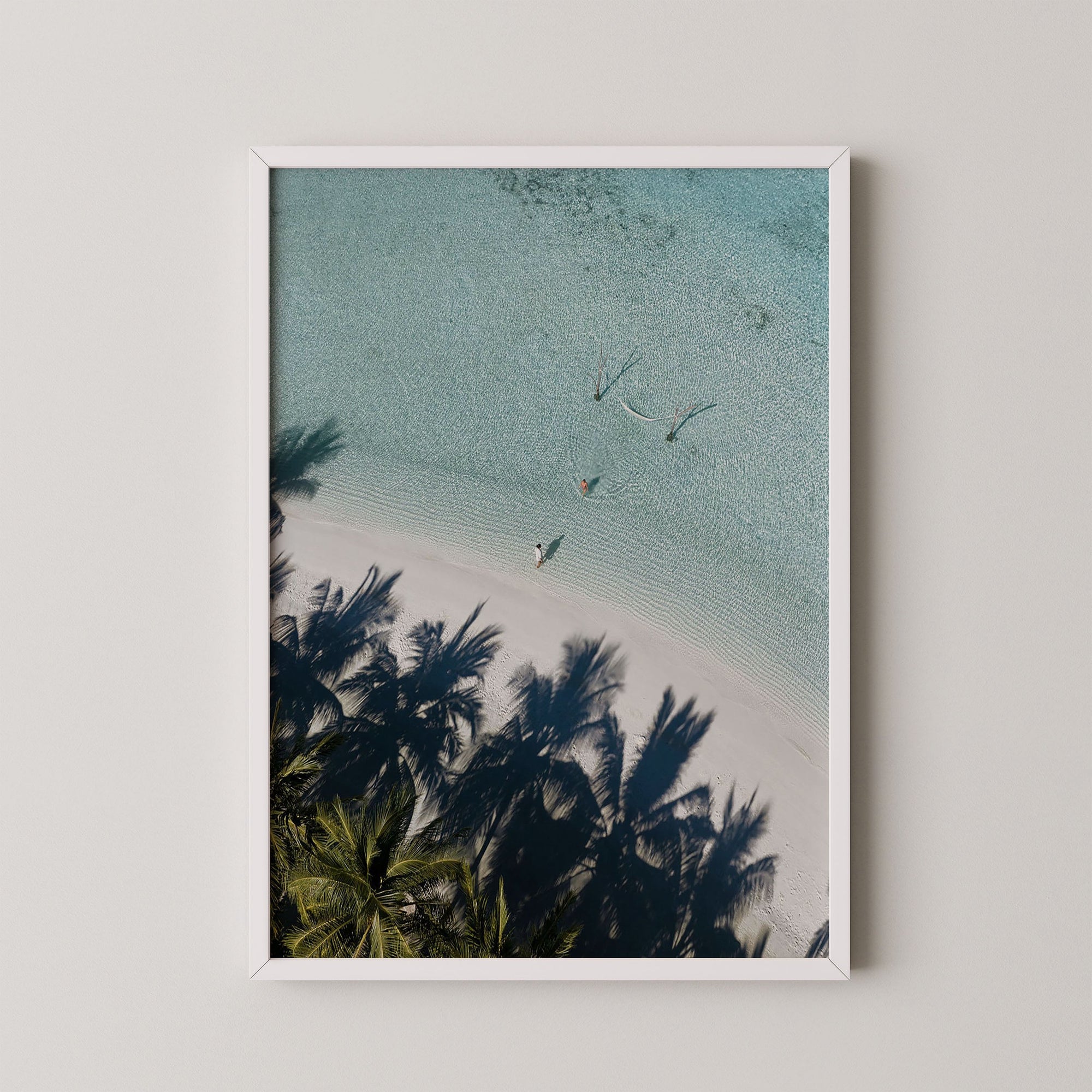 Palm Shadows