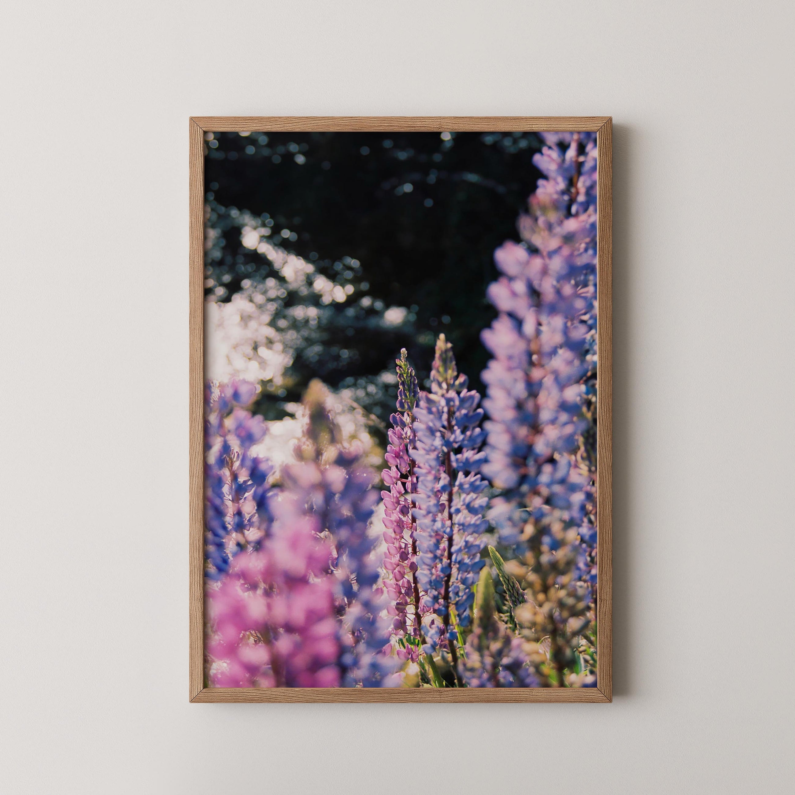 Purple Bloom