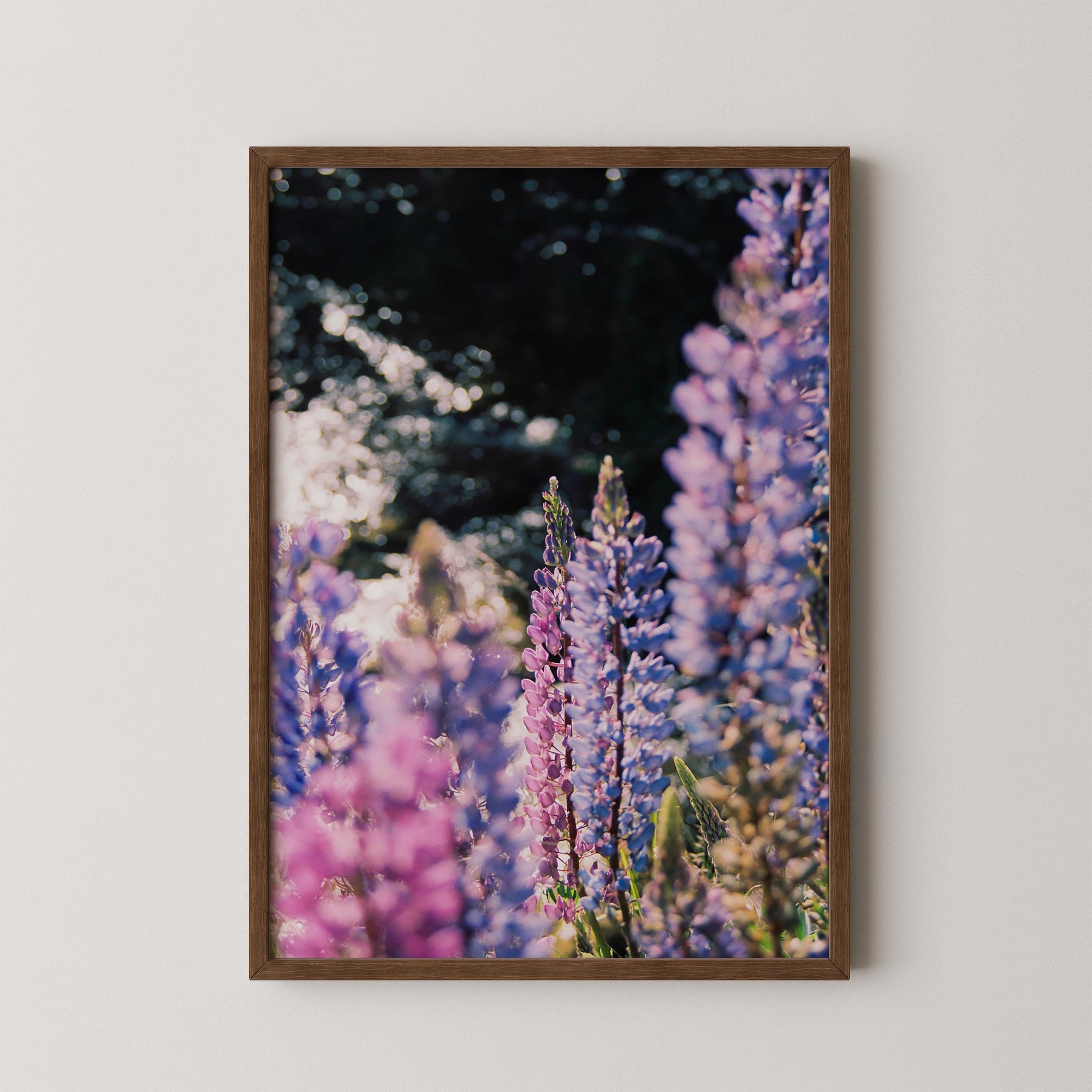 Purple Bloom