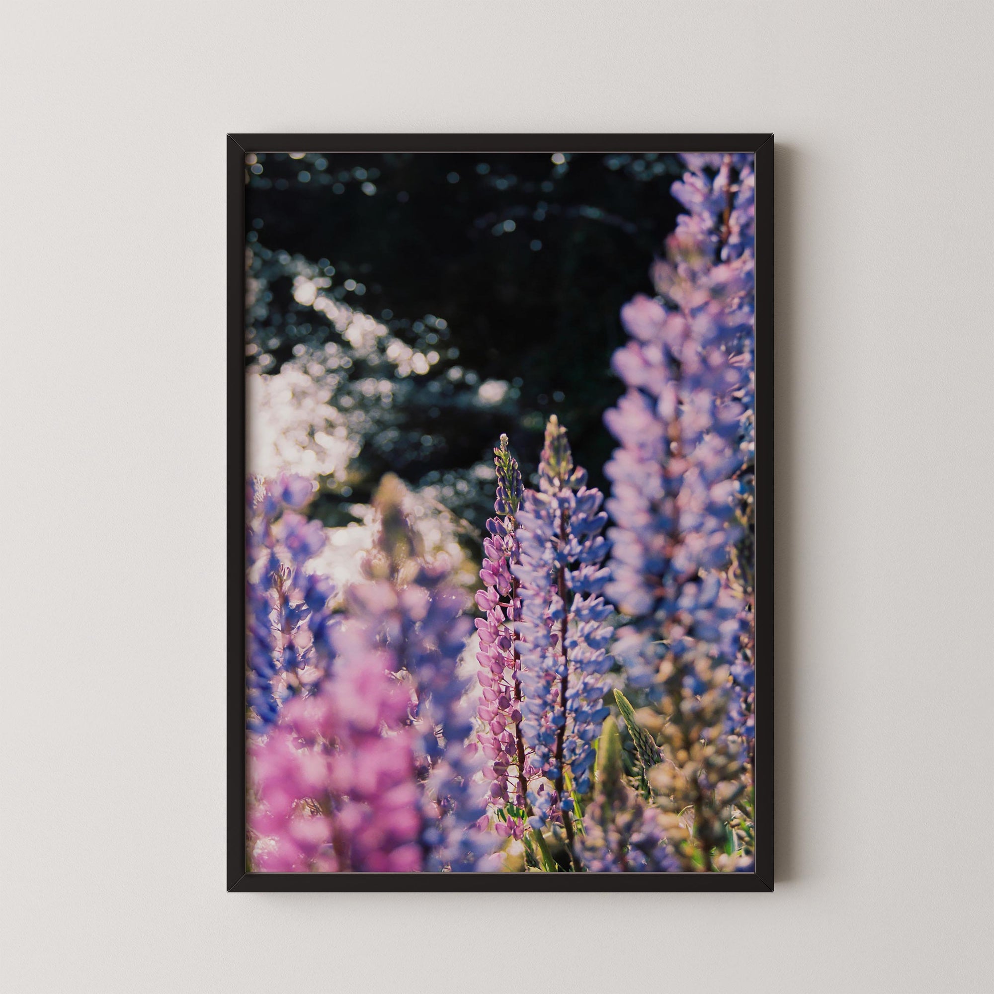 Purple Bloom