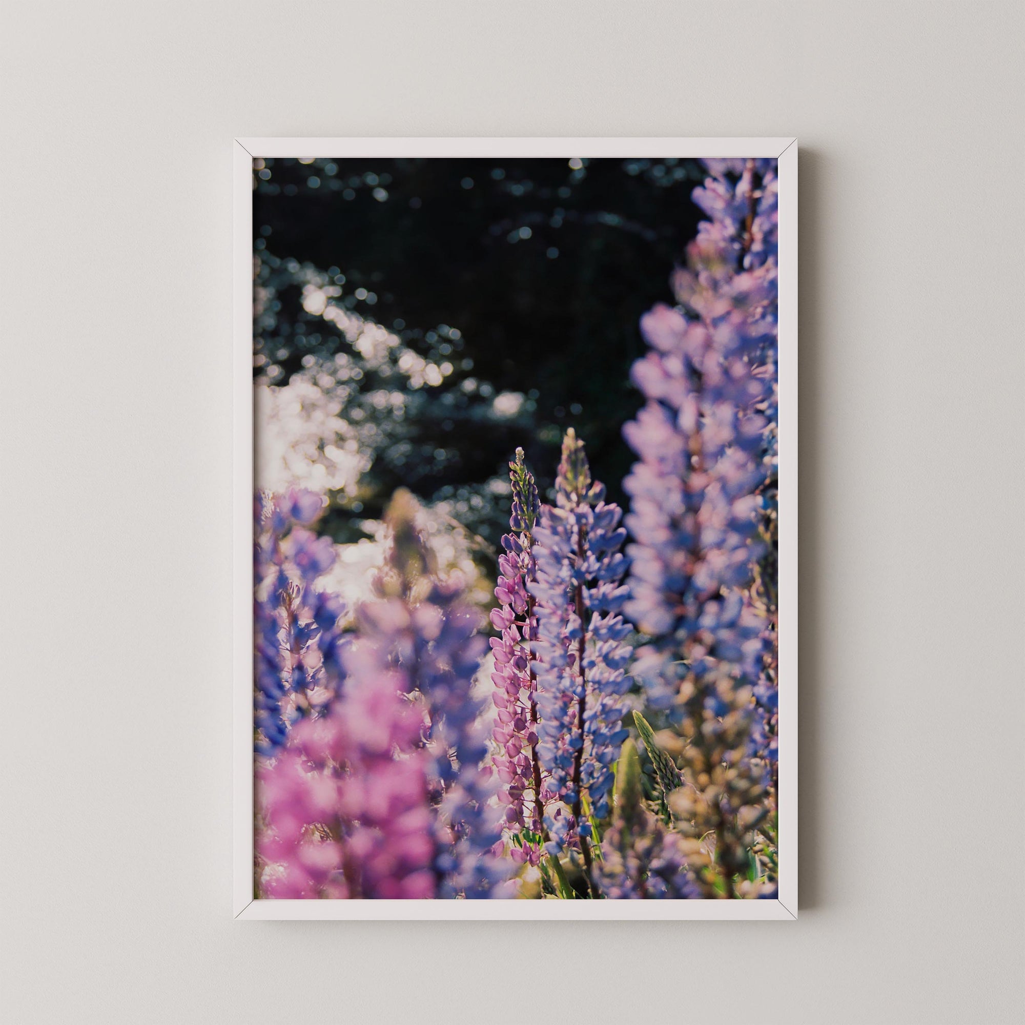 Purple Bloom