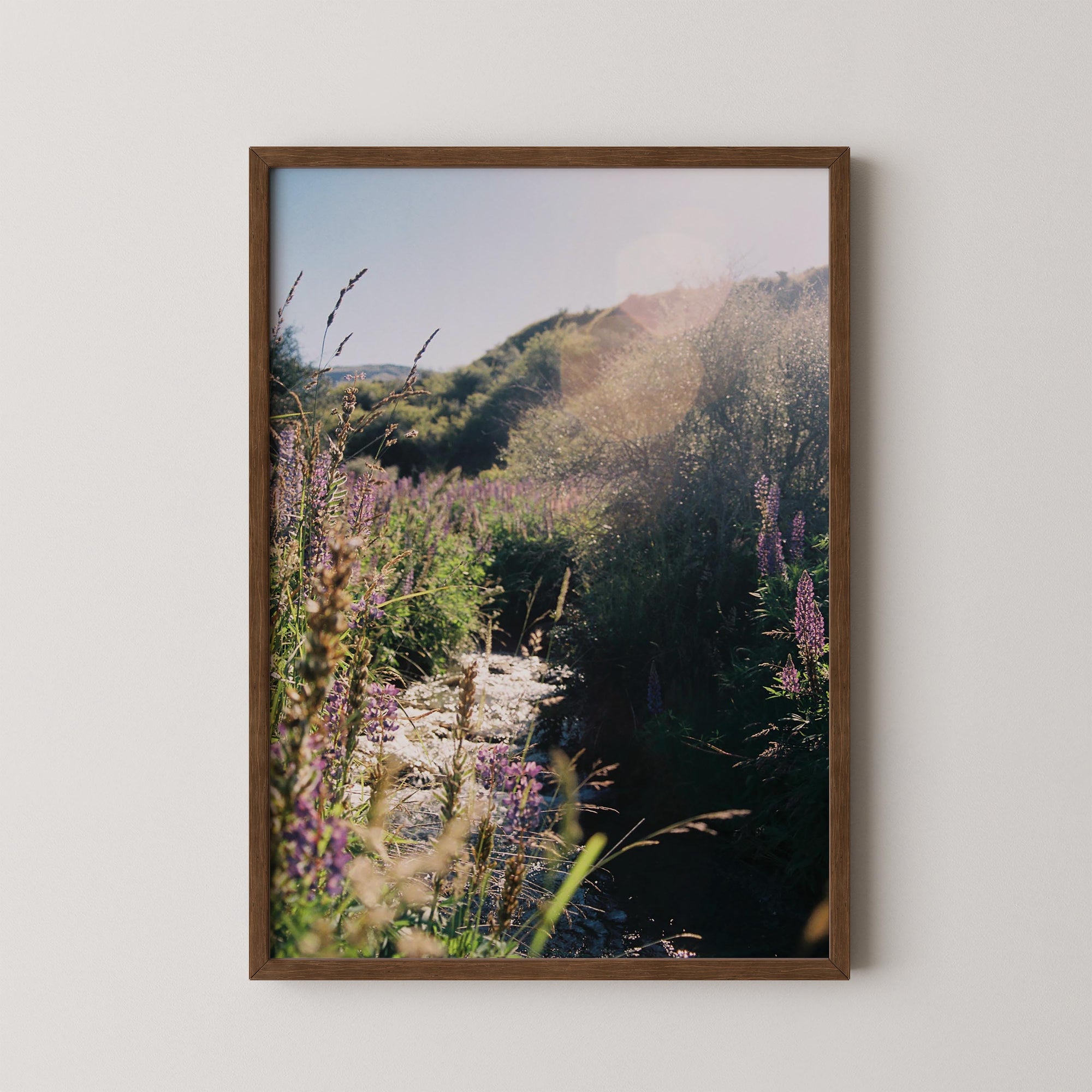 Hillside Light