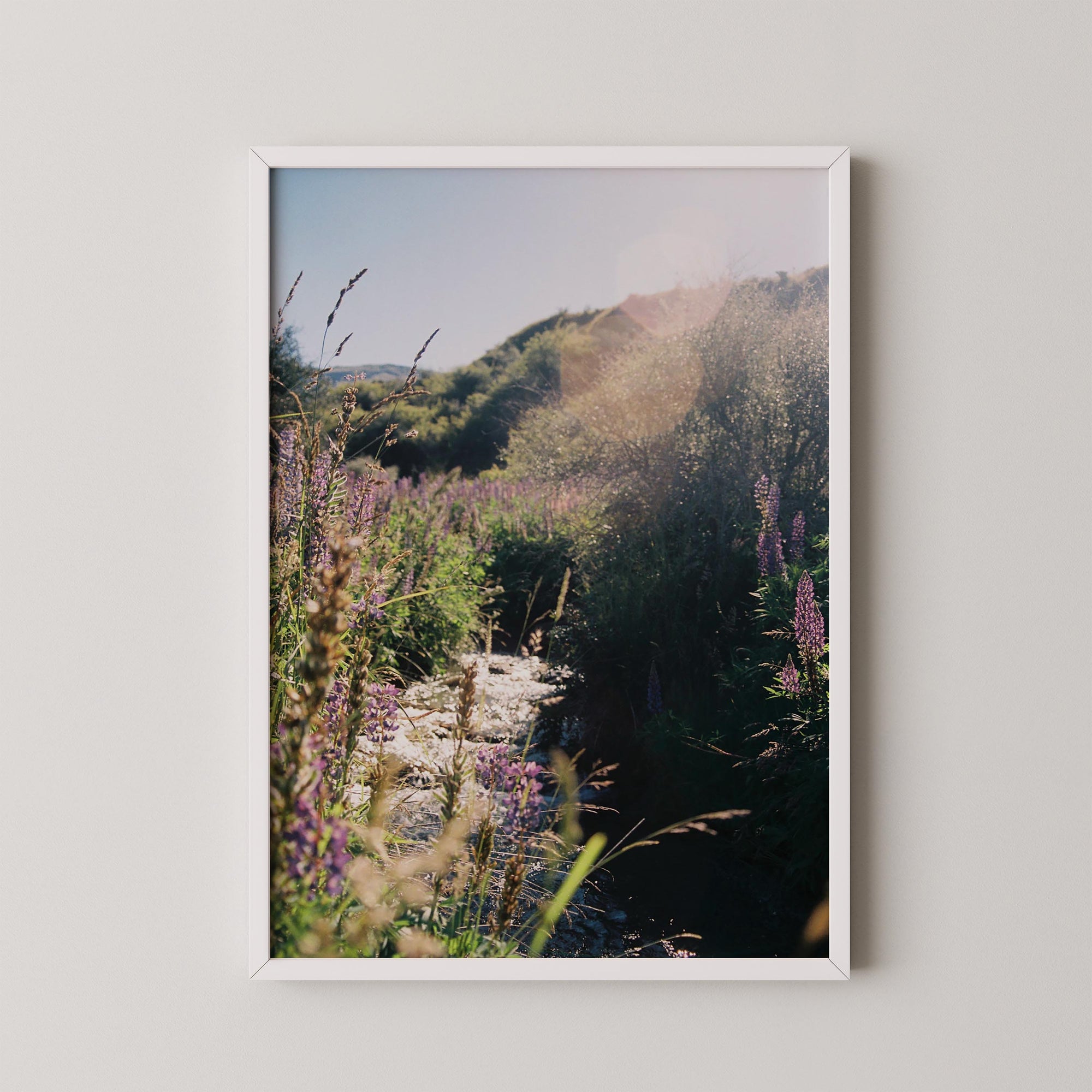 Hillside Light
