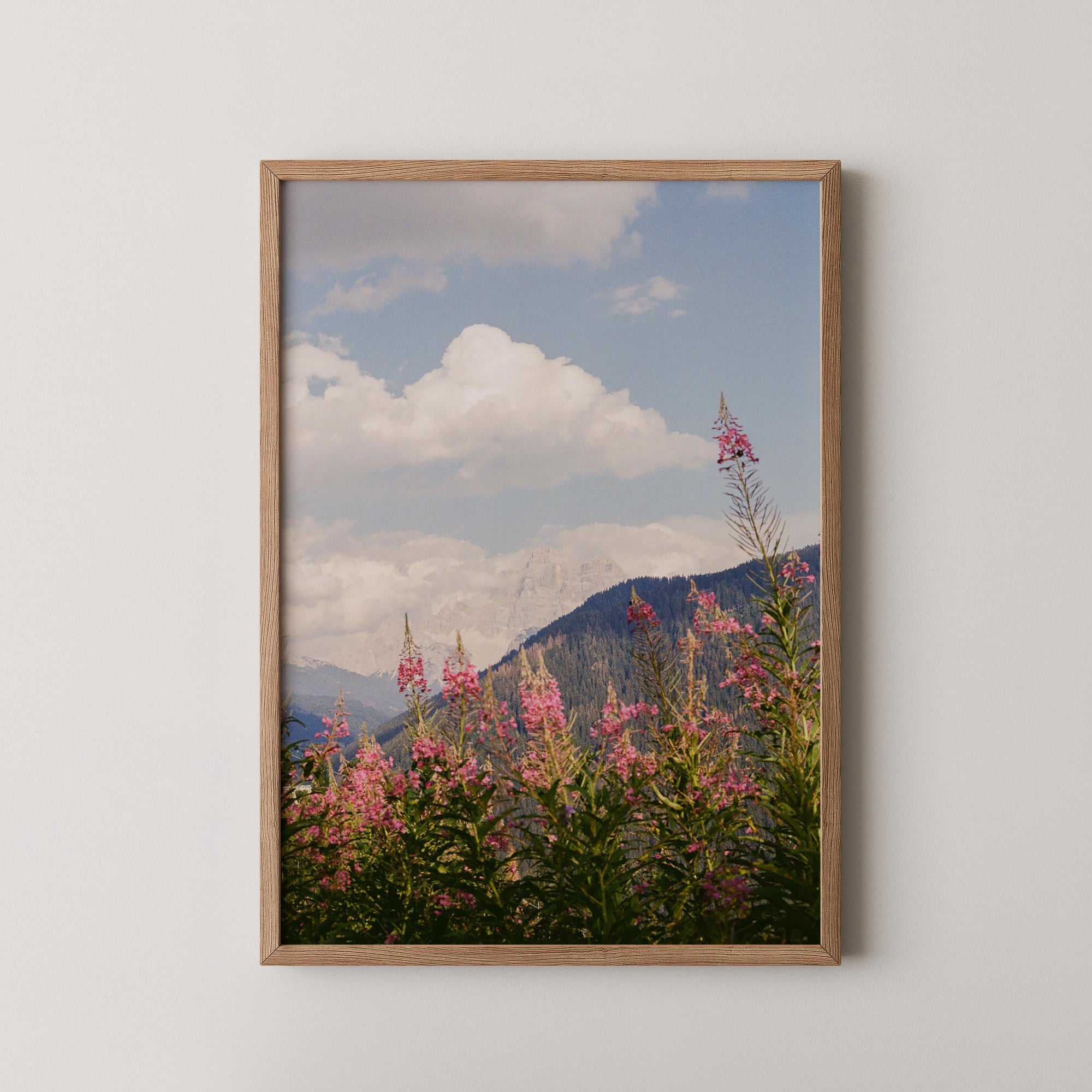 Aptitude Tapestry