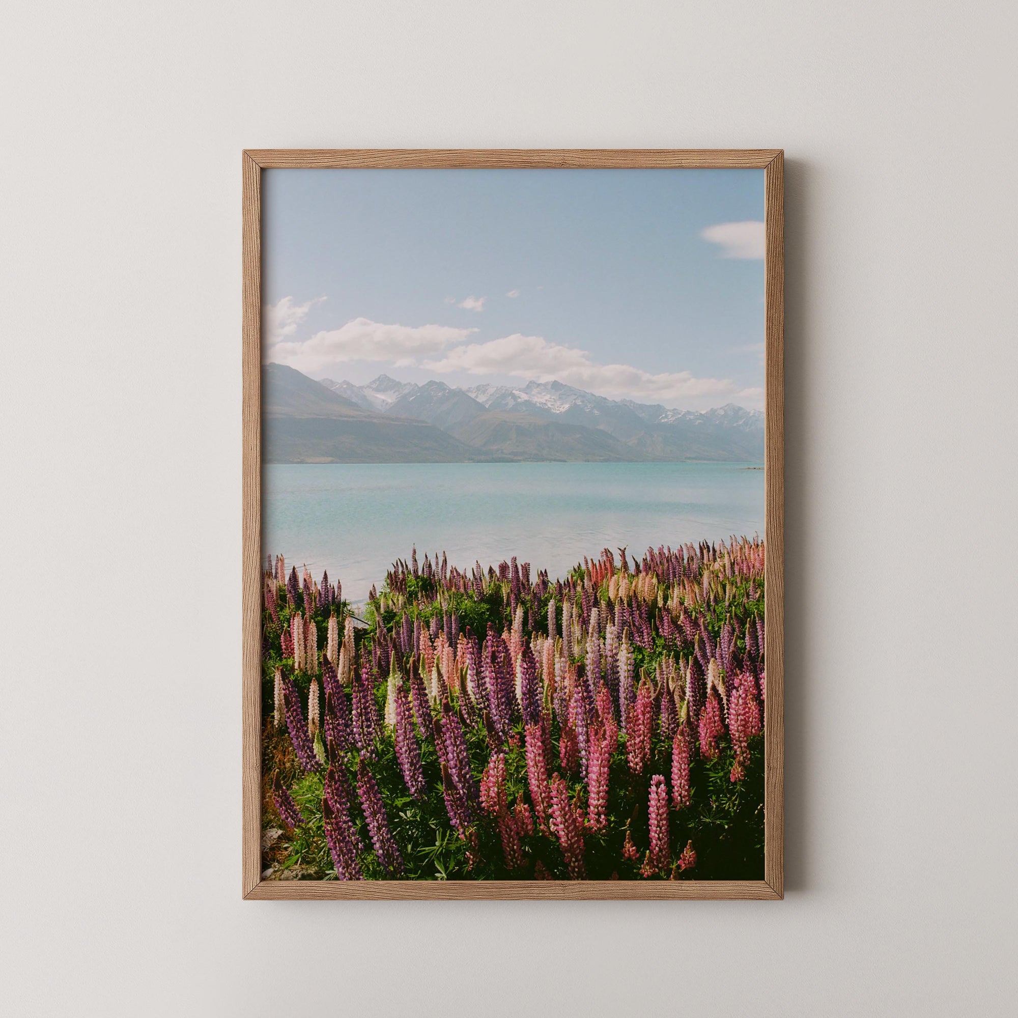 Lupin Shores