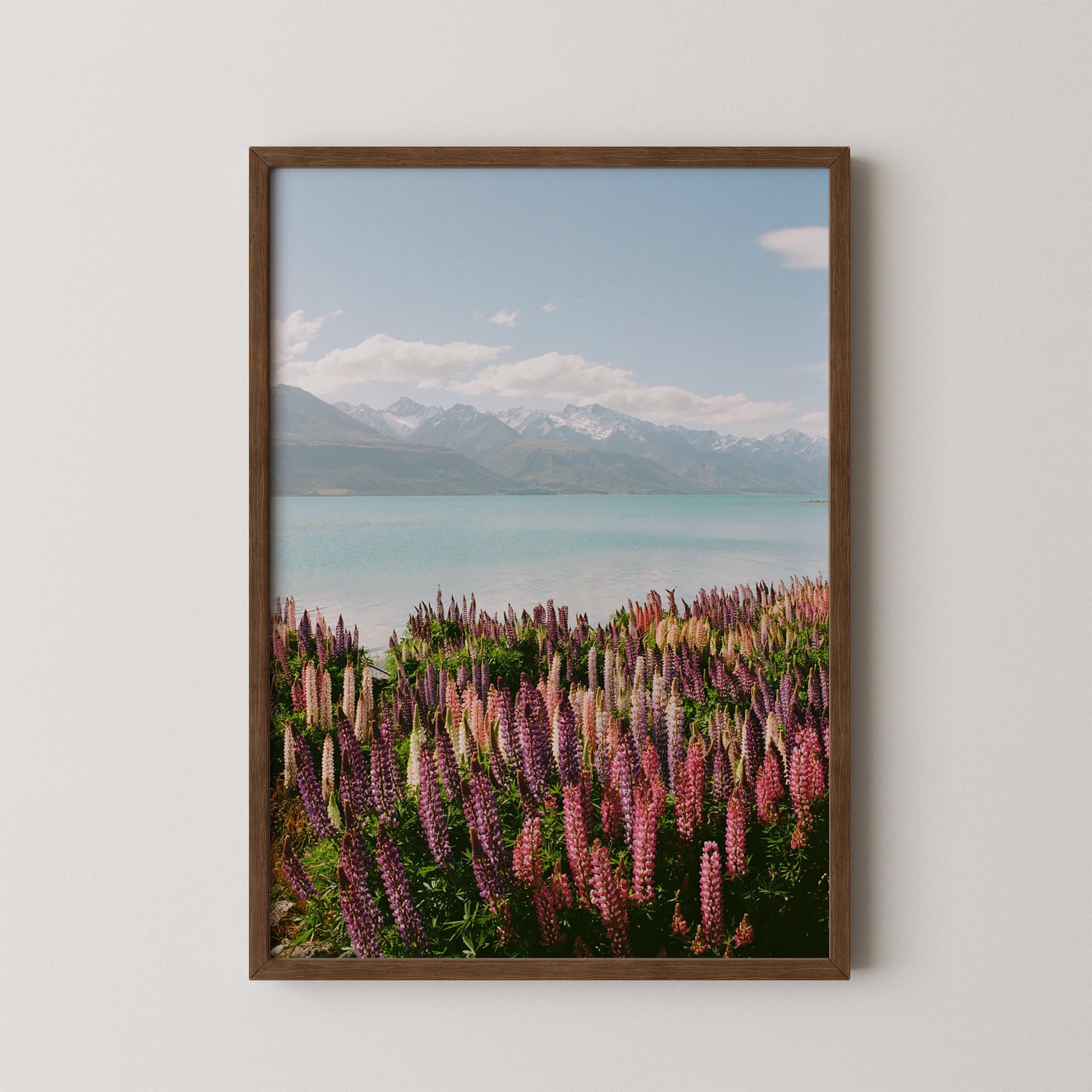 Lupin Shores