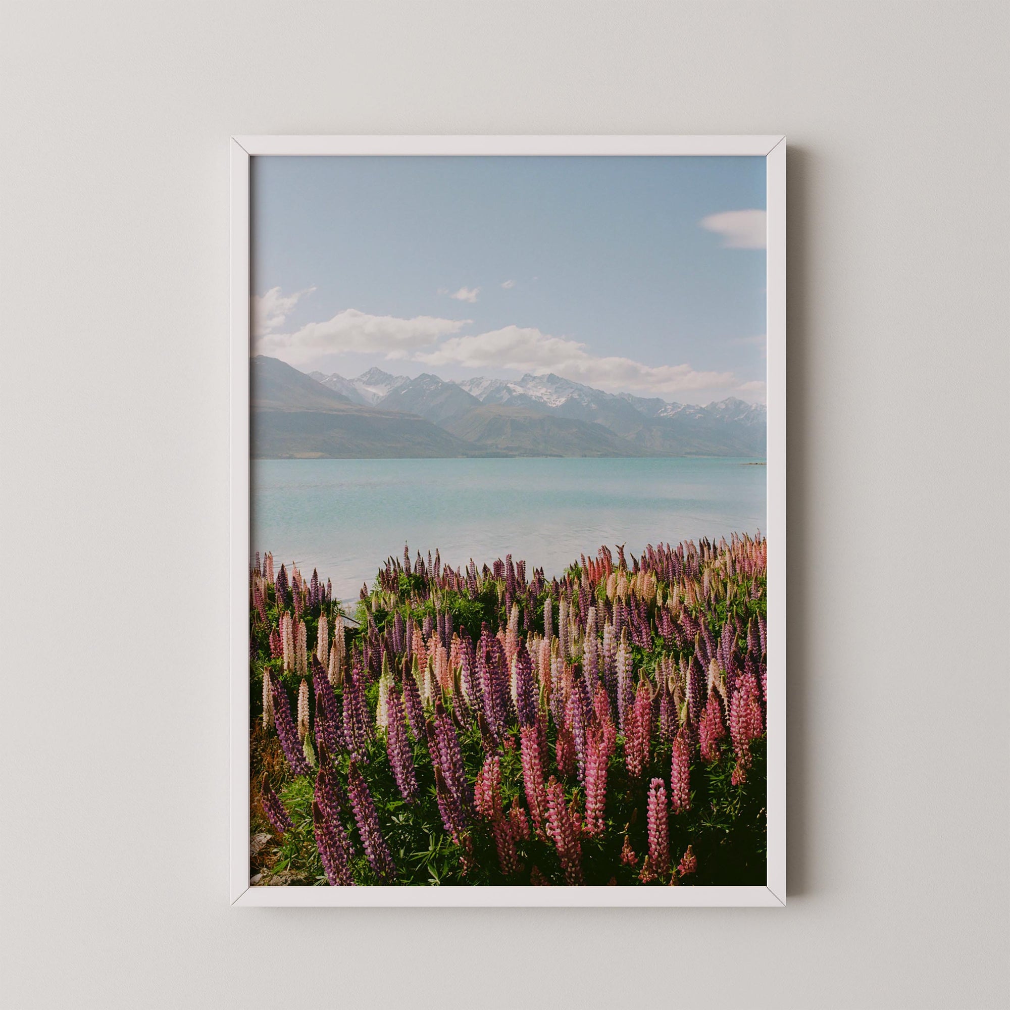 Lupin Shores