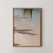 Echo of the Palms