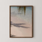 Echo of the Palms