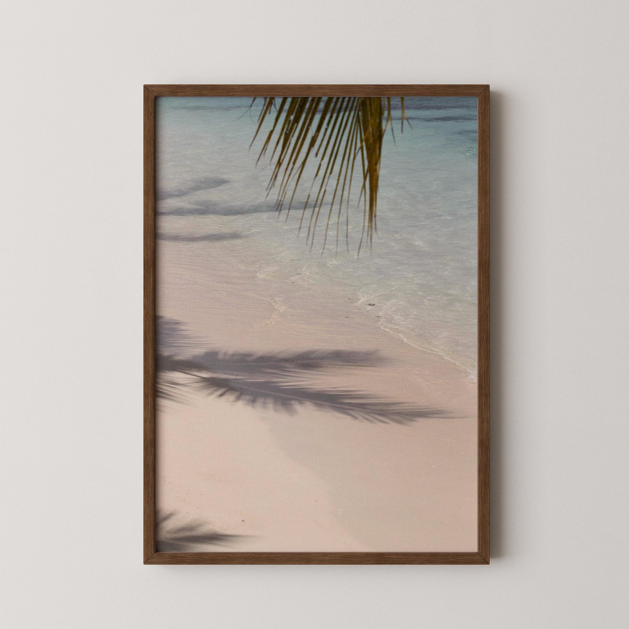 Echo of the Palms