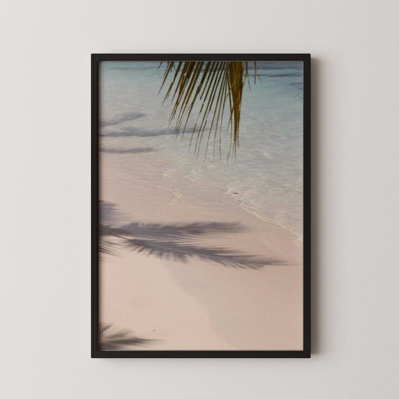 Echo of the Palms