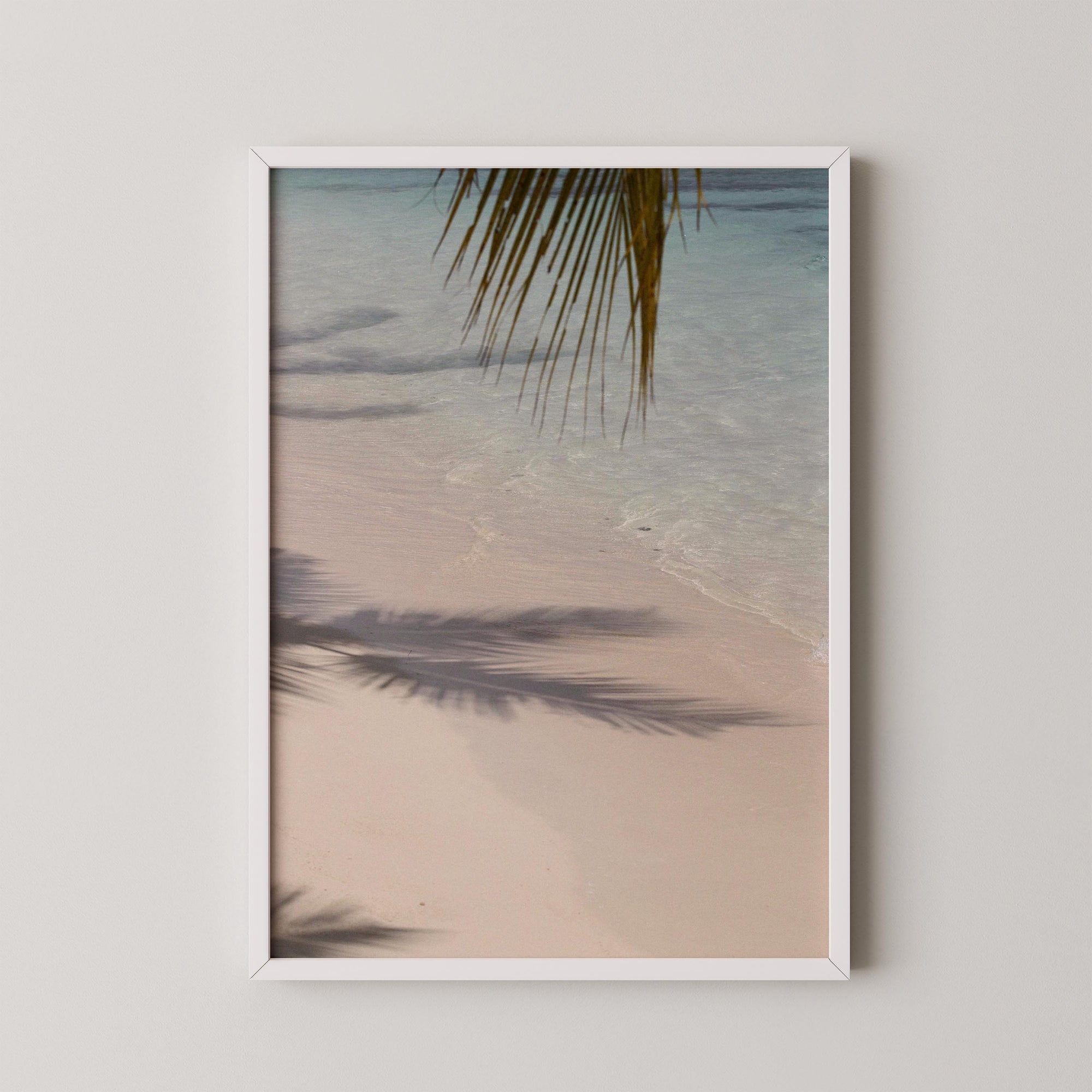 Echo of the Palms
