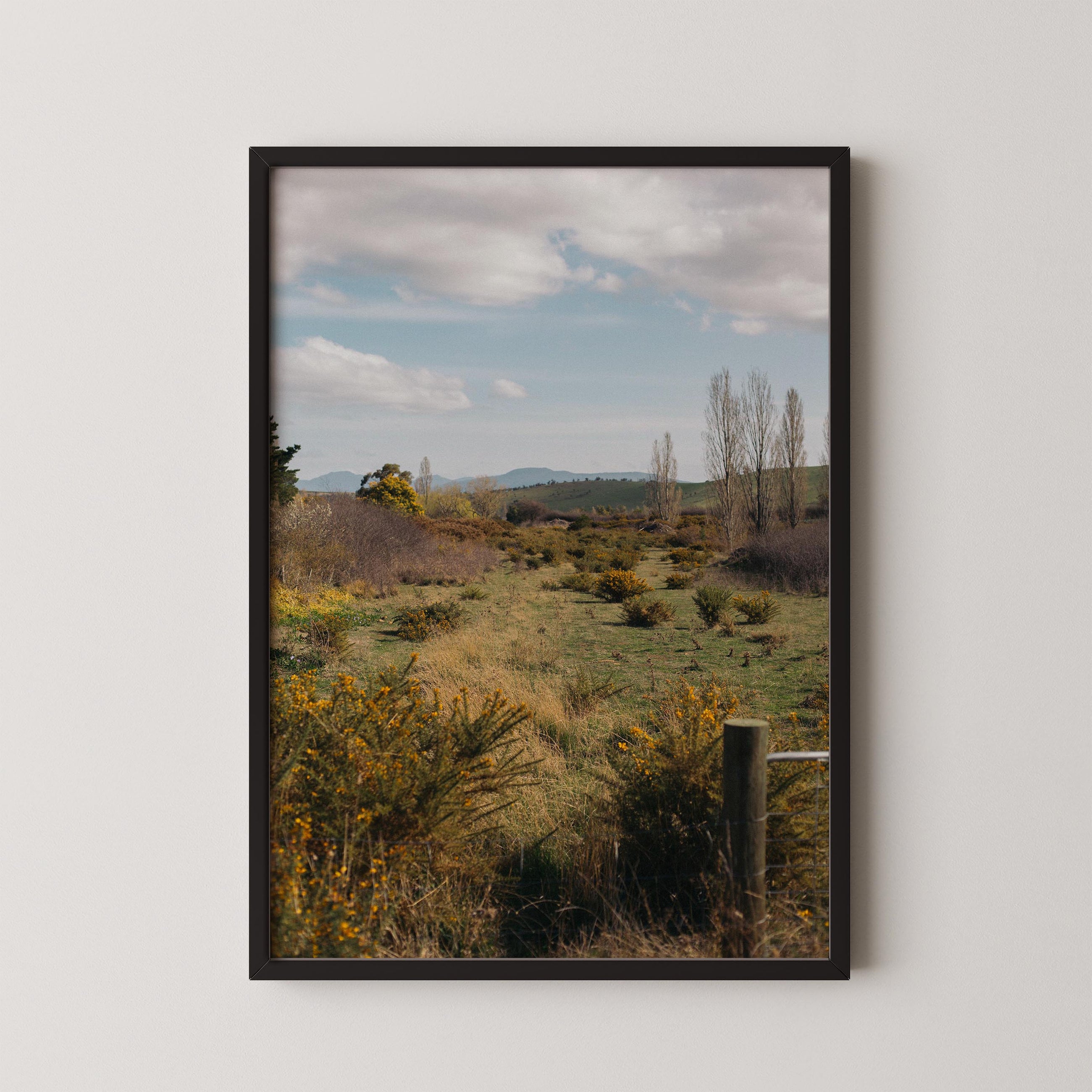 Golden Gorse Path