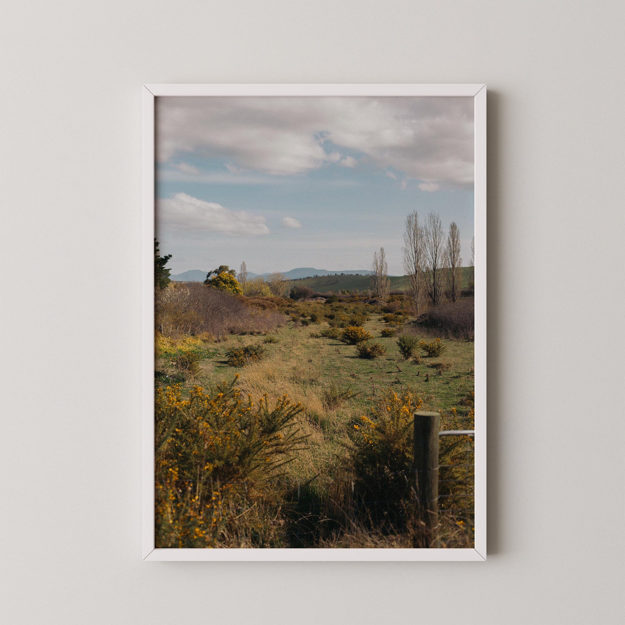 Golden Gorse Path